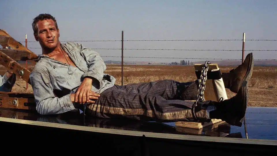 Rebeldia Indomável. Filmes passados na cadeia.