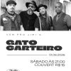 Gato Carteiro