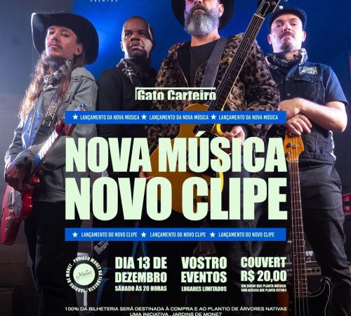 Gato Carteiro | Vostro - 13/12