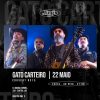 Gato Carteiro no Jimi's