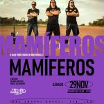 Mamíferos | Jimi's - 29/11