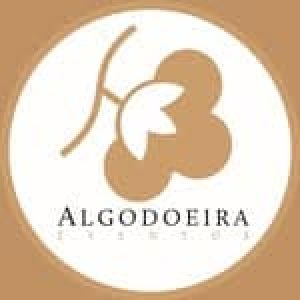 Algodoeira avatar