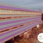 Amaral-Carvalho-de-Jaú