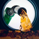 Combustivel-batizado-Carro-Danificado