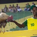 Dingão e seu Galo Tó