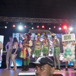 festa-fantasia-vira-latas-444