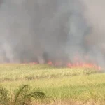 Incêndio na área rural da cidade